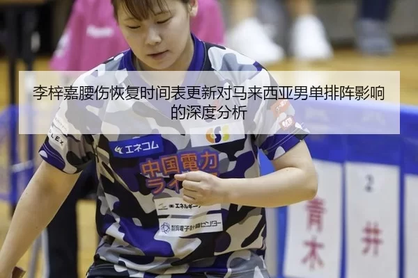 李梓嘉腰伤恢复时间表更新对马来西亚男单排阵影响的深度分析（bet365）