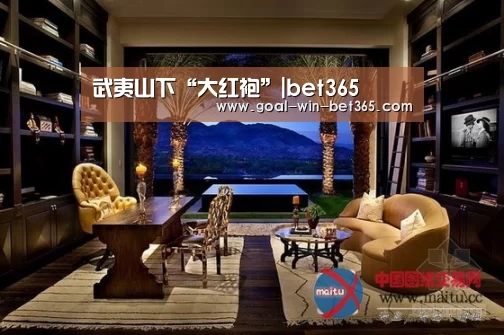 武夷山下“大红袍”|bet365(图3) 武夷山下“大红袍”|bet365(图3)