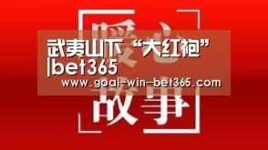 武夷山下“大红袍”|bet365(图4) 武夷山下“大红袍”|bet365(图4)