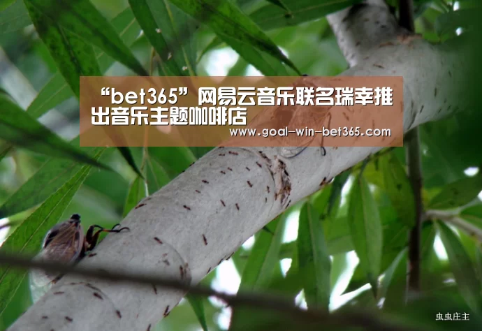 “bet365”网易云音乐联名瑞幸推出音乐主题咖啡店(图1) “bet365”网易云音乐联名瑞幸推出音乐主题咖啡店(图1)